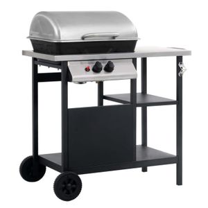 BARBECUE Barbecue à gaz et compartiments - VIDAXL - 92 x 53 x 96 cm - 1 brûleur - Surface de cuisson 49 x 33 cm