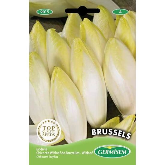 Germisem Biologische Belleville Zuringzaden – 1 G – Voor Jonge Bladeren In Salades, Frisse Citroensmaak