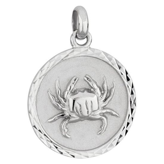 Pendentif Breloque Zodiaque Cancer - Acier Chromé Argenté - Neuf