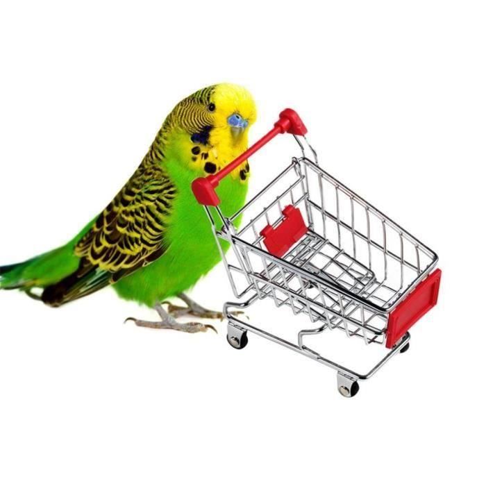 HT Jouet D'Oiseaux Jouet Caddy Mini Supermarché Panier Pour Perroquet Jeu D'Imitation Mini Caddie (4.72 X4.53 ...... - HTSWM824A5317