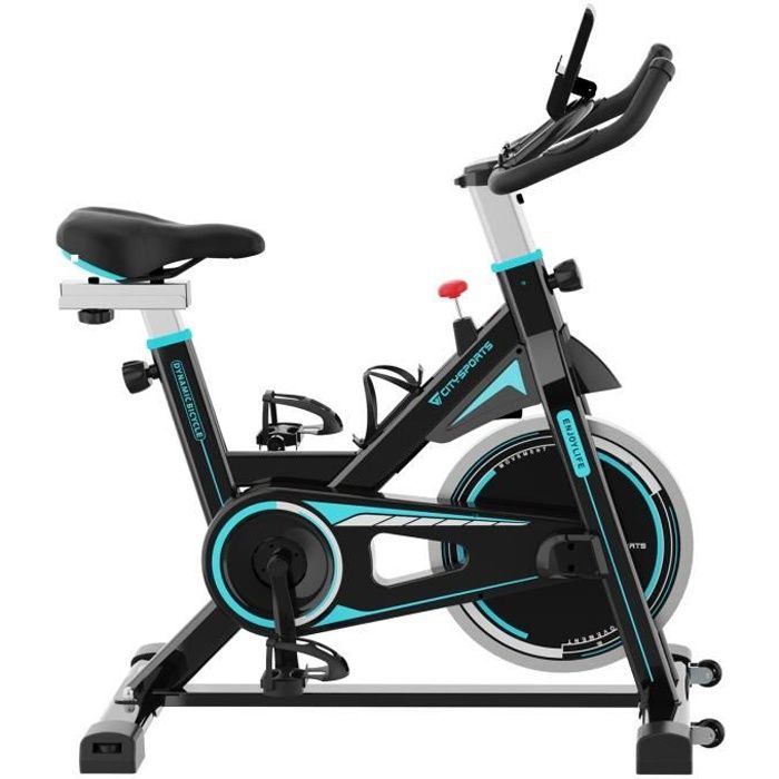 CITYSPORTS Vélo d'Appartement Résistance Réglable avec Écran LCD, Vélo d'exercice Intérieur Fitness Bikes Silencieux