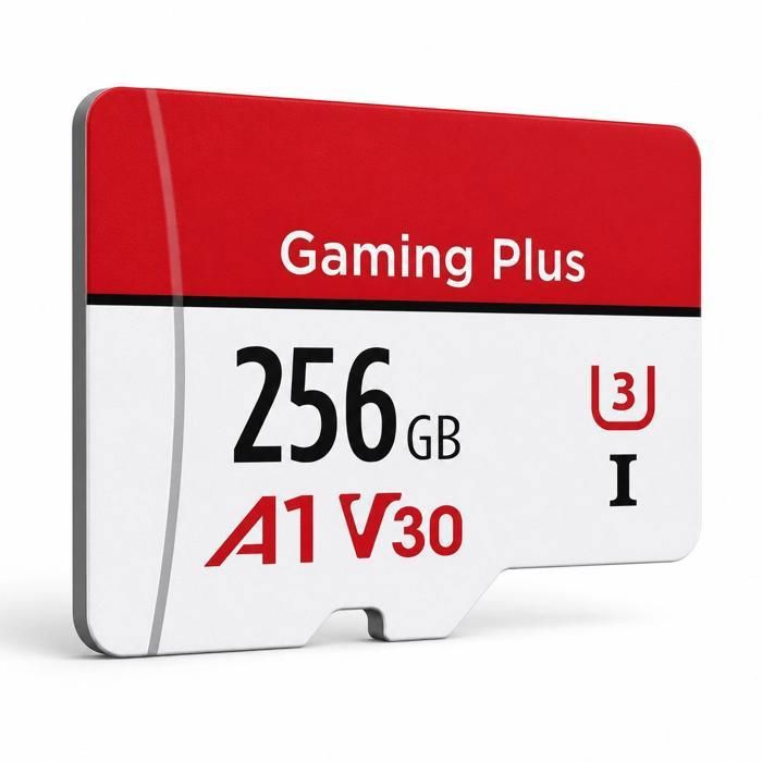 Carte Mémoire 256 Go ZD256GB – Stockage Amovible Pour Appareils Photo, Smartphones, Etc.