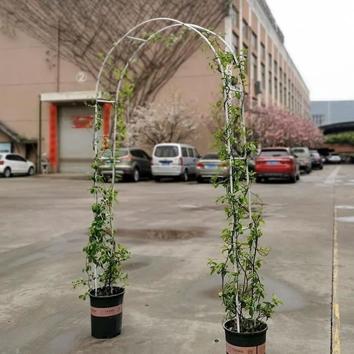 ErZhuiZi Arche de Jardin Métal Arche Mariage Arceau À Rosiers Glycine Tuteur Plante Treillis Jardin pour Plantes Grimpantes avec 4 pièces de Vignes Roses(100cm),1.5 * 2.4m