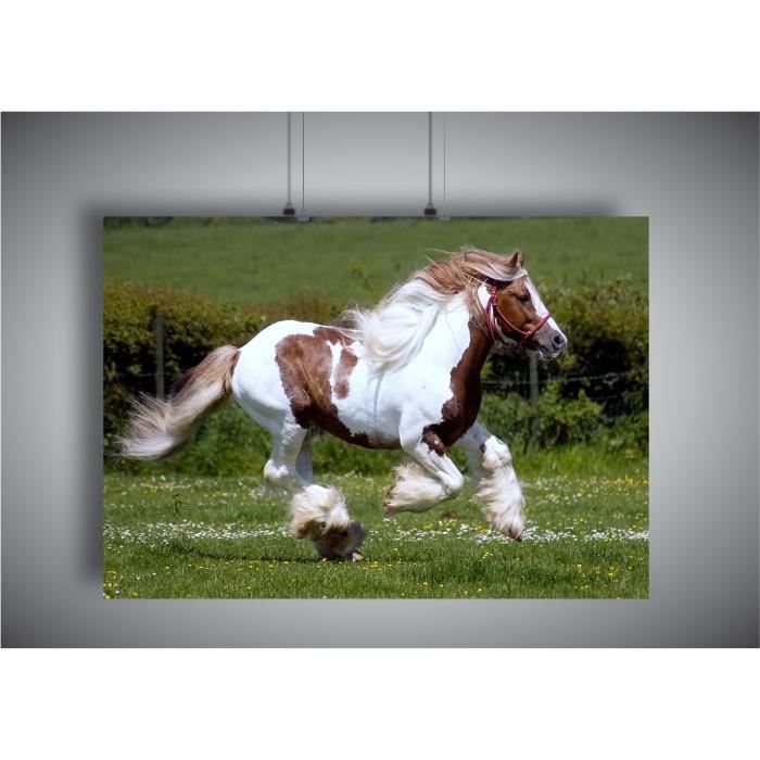 Poster Cheval Achat Vente Pas Cher