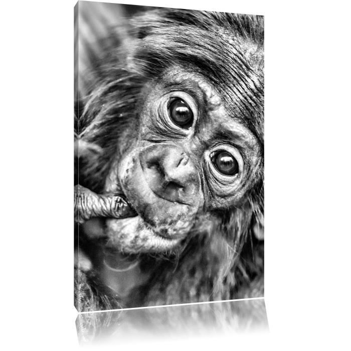 Monocrome Petit Singe Bebe Format 60x40 Sur Toile Xxl Enormes Photos Completement Encadrees Avec Civiere Imprime Art Mural Avec Cdiscount Maison Monocrome Petit Singe Bebe Format 60x40 Sur Toile Xxl Enormes Photos Completement Encadrees Avec Civiere Imprime Art Mural Avec Cdiscount Maison