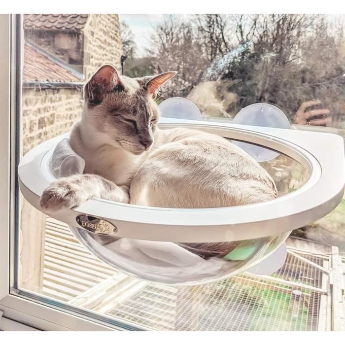 Pecute Hamac De Fenetre Pour Chat Suspendus Lit De Chat Supporter Jusqu A 10 Kg Avec 4 Ventouse Detachable Cdiscount Pecute Hamac De Fenetre Pour Chat Suspendus Lit De Chat Supporter Jusqu A 10 Kg Avec 4 Ventouse Detachable Cdiscount