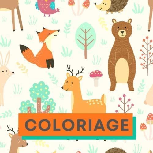 Coloriage Je Colorie Sans Deborder Livre De Coloriage 2 4 Ans Dessin A Colorier Pour Enfant Des 2 Ans Image Simple Bord Epais Achat Vente Livre De Coloriage Cdiscount