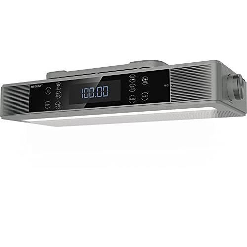 Ferguson Regent Cucina Argent – Enceinte Bluetooth 2 haut-parleurs 5.4W argent