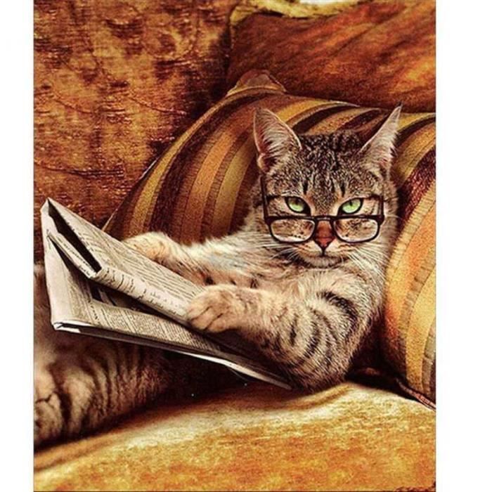 Peinture A Lhuile De Bricolage Sans Cadre Six Chats Colores Sous La Peinture Animale Lumineuse Numerotee Sur Des Tableaux Muraux En Toile De Salon Papiers Peints Bricolage Peinture A Lhuile De Bricolage Sans Cadre Six Chats Colores Sous La Peinture Animale Lumineuse Numerotee Sur Des Tableaux Muraux En Toile De Salon Papiers Peints Bricolage