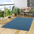 Kingston - tapis type gazon artificiel – pour jardin, terrasse, balcon - bleu  - 200x100 cm-1