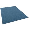 Kingston - tapis type gazon artificiel – pour jardin, terrasse, balcon - bleu  - 200x100 cm-2