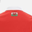 Polo femme Rugby XV Pays de Galles Merch CA LF - Rouge/Blanc-3
