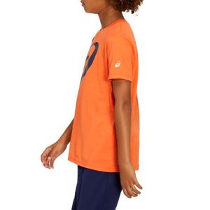asics t shirt junior argent