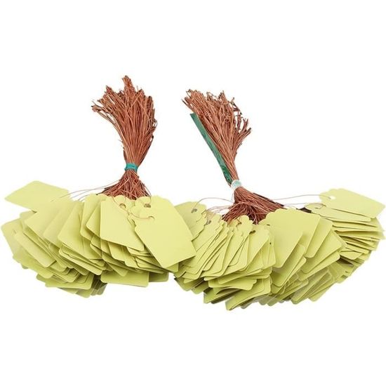 300 étiquettes De Plantes Réutilisables En PVC - Avec Ficelle Suspendue - Imperméables Et Durables - Pour Jardin, Serre, Pots