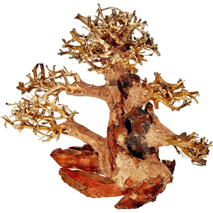 Meilleurs prix pour Décoration pour aquariums - AMTRA - Oriental Wind 4 - Bois Fait Main - 23x10x17 cm - Marron