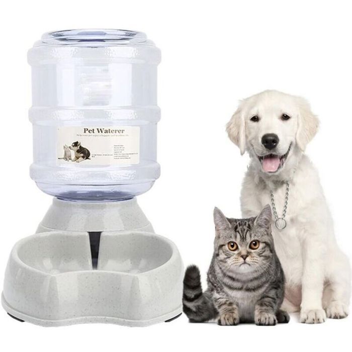 Distributeur auto nourriture et eau pour chats chiens