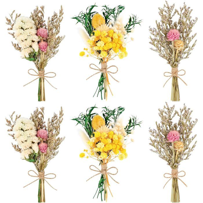 Fleurs Séchées Myosotis 6 Pcs Petit Bouquet De Fleurs Séchées Naturelles Mini Bouquet De Fleurs Séchées pour Décoration De Table