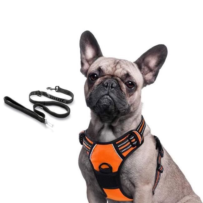 Gilet store orange chien