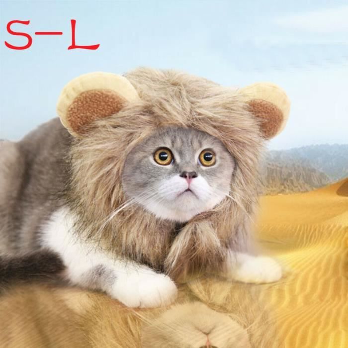 Chapeau Perruque Costume Pour Animaux Domestiques Criniere De Lion Pour Chien Chat Vetements D Halloween Deguisement Type S Achat Vente Deguisement Perruque Costume Pour Animaux Cdiscount Chapeau Perruque Costume Pour Animaux Domestiques Criniere De Lion Pour Chien Chat Vetements D Halloween Deguisement Type S Achat Vente Deguisement Perruque Costume Pour Animaux Cdiscount