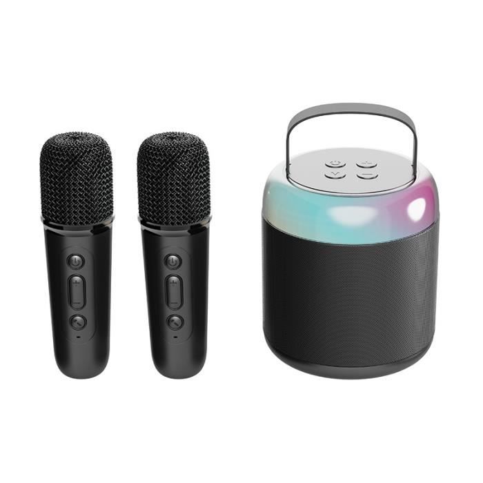 Machine de Karaoké Portable avec 2 Microphones Sans Fil, SystèMe de