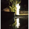 Cactus lumineux MOOVERE Décoration 140cm extérieur lumière blanche batterie rechargeable led/rgb-2