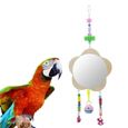 Poulet Jouets Poulet en bois Miroir Jouet Coqs Poulailler Jouet avec Bell pour les poules Oiseaux Perroquets couleur aléatoire-2