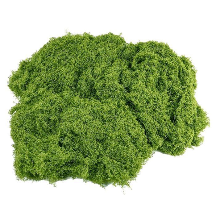 Meilleurs prix pour Mousse Végétale Mousse Décorative Terrarium Adapté aux Compositions Florales Plantes art 100g 30*60CM*2