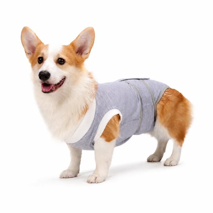 Body de Convalescence Chien Anti-Léchage Post-Opératoire - Gris - XL
