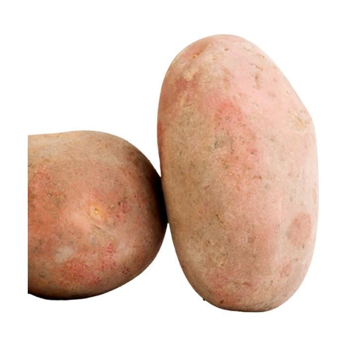 MANS COOP Pomme de terre rouge bio 1 kg Cdiscount Au quotidien
