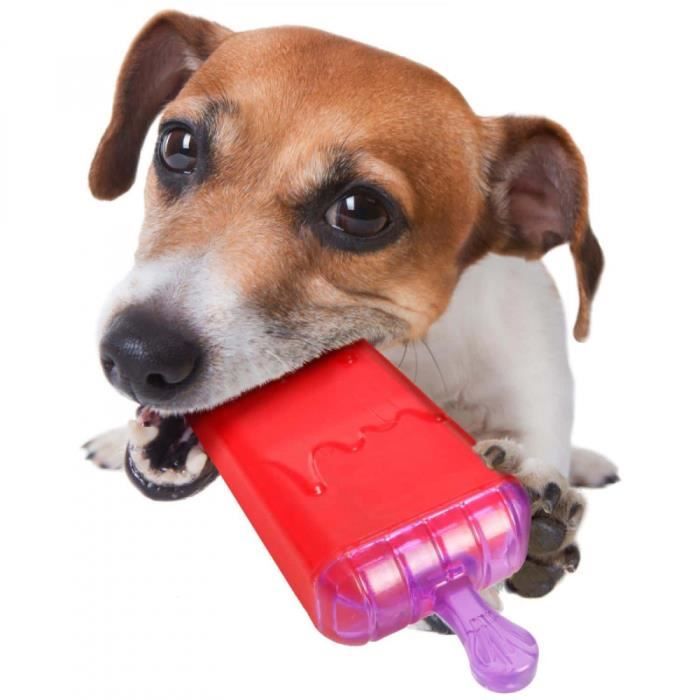 Jouet pour chien - FLAMINGO - LOLLY - Rafraîchissant - TPR 16 cm - Rouge et violet