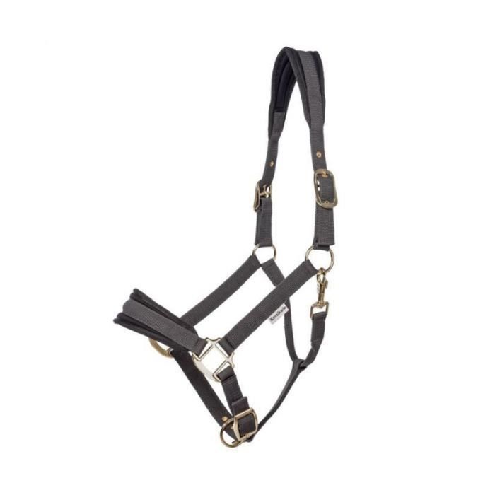 Licol pour cheval en nylon rembourré HorseGuard - Marron - Poney