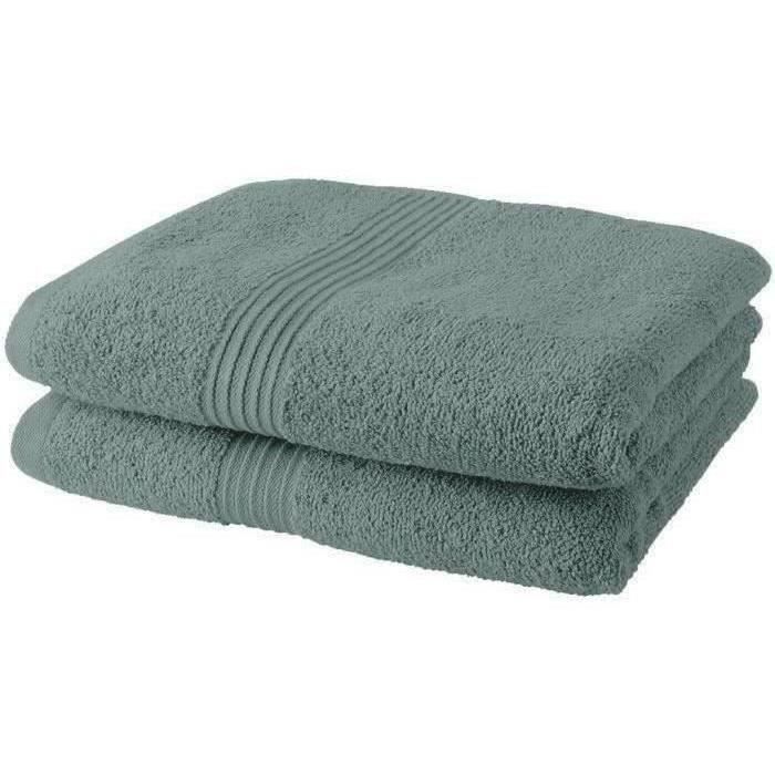 Lot de 2 serviettes de toilette TODAY 50x90 cm 100% Coton - Celadon