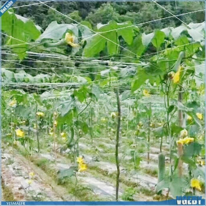 Structure Plantes Mural Treillis Bois Extensible Pour Plantes - Décoration Murale Jardin - 44cm à 200cm Support Jardin Extensible