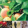 Filet anti-oiseaux 4*10M Filet de Protection Pour Plante Légume Fruit Étang Jardin-1