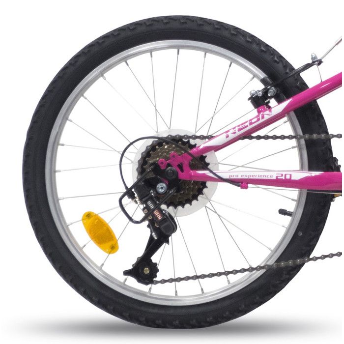 VTT 20 Pouces Eden Bikes Freerider - 6 Vitesses Poignée Tournante - Freins V-Brake - Mixte Enfant/Ado