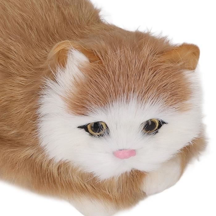 Jouet En Peluche Pour Chat D'intérieur - Jouet Doux Pour Chat - Balle à Mâcher Avec Son Réaliste