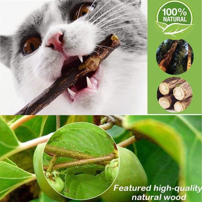 Bâtonnets à Mâcher Pour Chat - Lot De 32, En Bois Naturel, Pour Santé Dentaire Et Jeu, Sans Additifs - 7