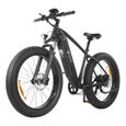 Vélo électrique - DYU - King 750 - Batterie 20Ah - Autonomie 80 km-0