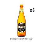 DUBUISSON Pack Bières Bush Triple - 6x33cl - 10,5%