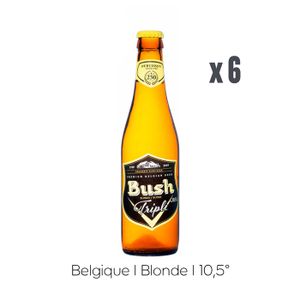 BIERE Pack Bières Bush Triple - 6x33cl - 10,5%