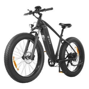 VÉLO ASSISTANCE ÉLEC Vélo électrique - DYU - King 750 - Batterie 20Ah -