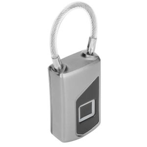SERRURE - BARILLET LAM-Serrure biométrique rechargeable USB IP66 étan