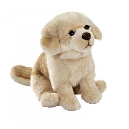 Anima peluche hotsell