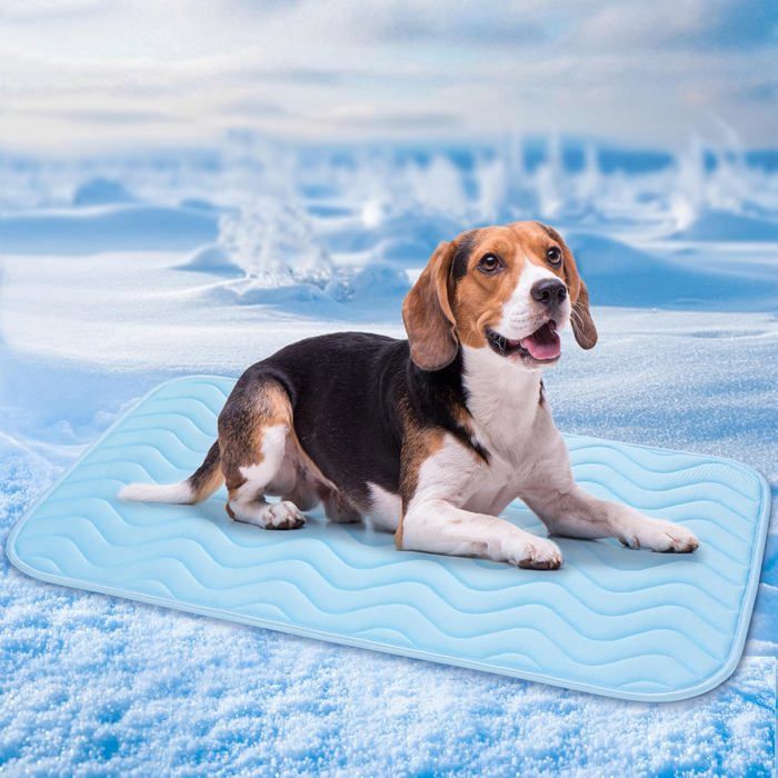 Tapis Rafraichissant Chien Chat75x50cm Tapis Rafraichissant pour ChienSoie Glacée RespirantCoussin Rafraîchissant LavableBleu