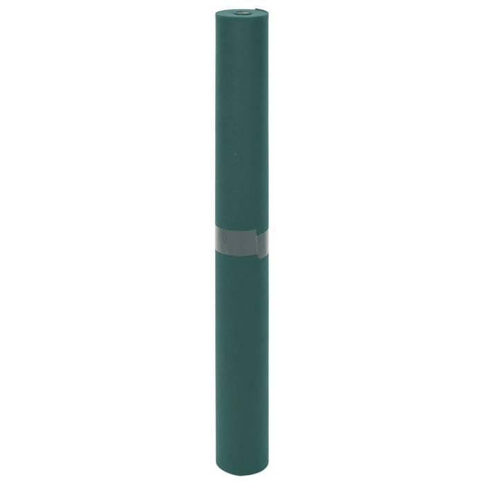 Toison végétale - vidaXL - 10x1 6 m - vert - tissu non tissé (100 % polypropylène) - Lot de 2 - Durable - 70g/m² 384976 Toison végétale - vidaXL - 10x1 6 m - vert - tissu non tissé (100 % polypropylène) - Lot de 2 - Durable - 70g/m² 384976