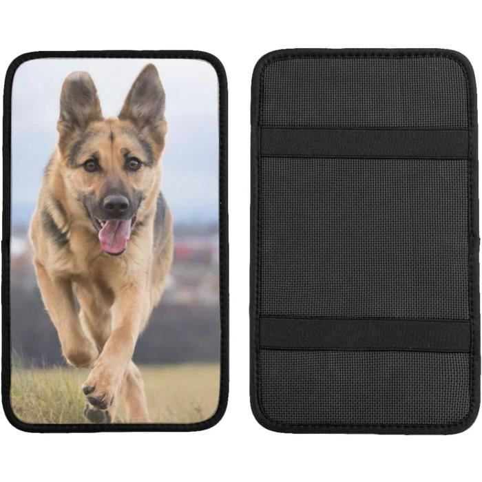 GIROUETTE En Metal - Motif Berger Allemand - Stock France / Expedition