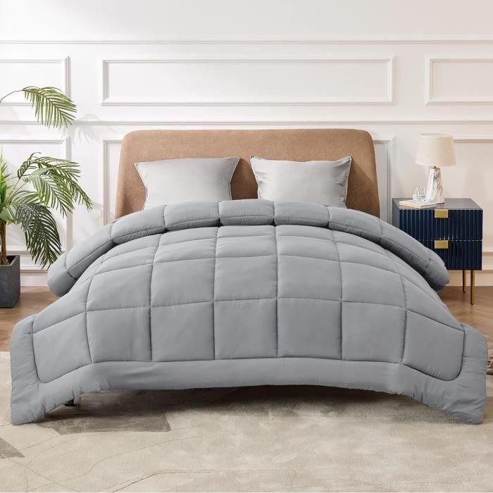 Couette Hiver 200x200 Cm 450GSM Chaude Et Moelleuse DREAMWAY - 2 Personnes - Oeko-Tex