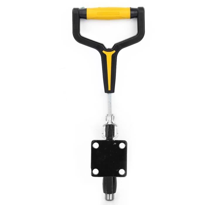 Hzzycaxli Lot De 20 Boîtes à Macarons Pour 12, Boîtes à Fraises