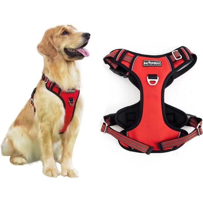 Harnais Easy Walk Chien - Taille XS