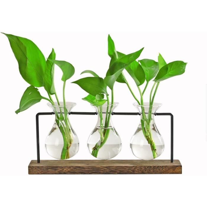 Support Hydroponique En Bois à 2 Niveaux Avec 9 Tubes à Essai - Pour Boutures De Plantes, Déco Maison/bureau
